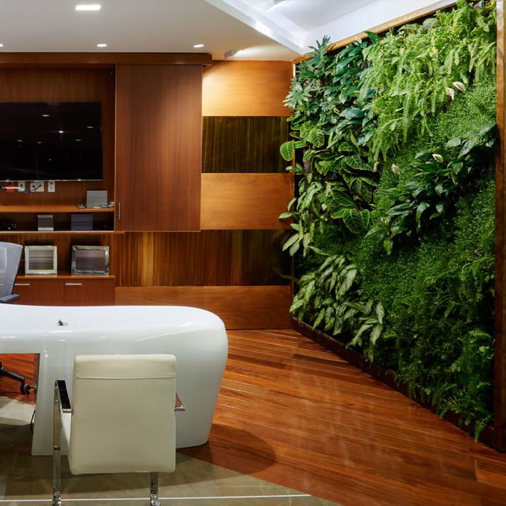 Green Walls for Interior Corporate Designs That Spark Joy